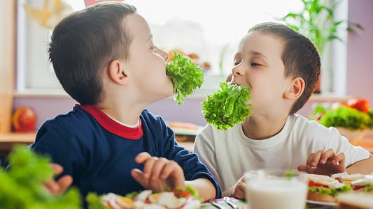 Non Carnivore Options For Your Little Dinosaur: 20+ Awesome Sources of Meat-less Protein