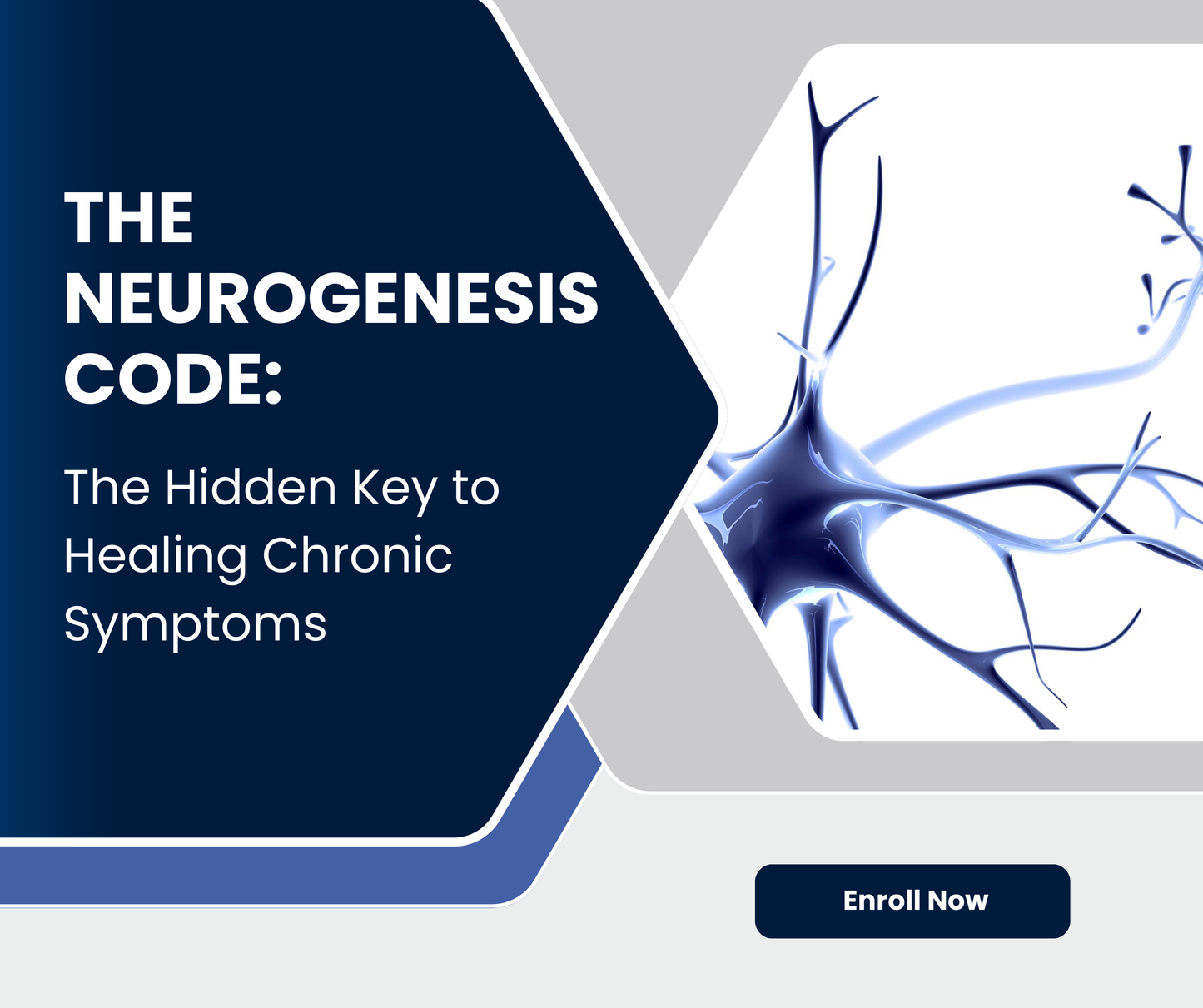 The NeuroGenesis Code: The Hidden Key to Healing Chronic Symptoms