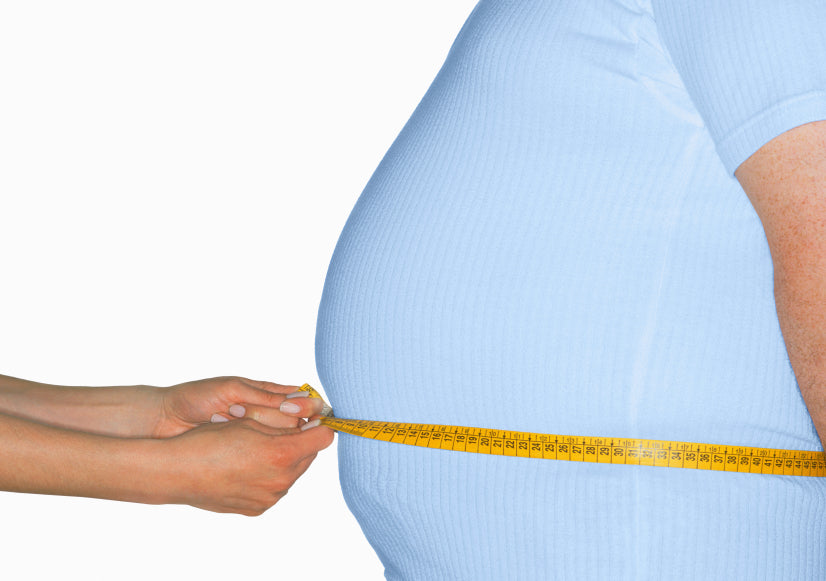 Metabolic Syndrome Management: A Natural Understanding E Book