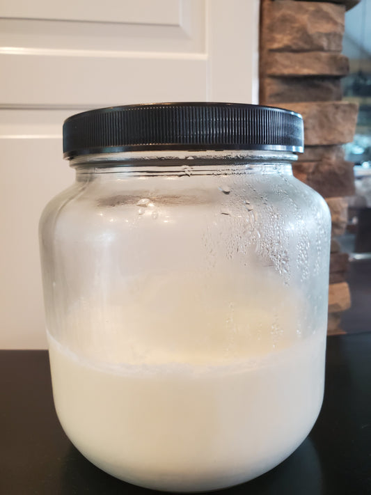 Homemade Gut Microbiome Boosting Yogurt