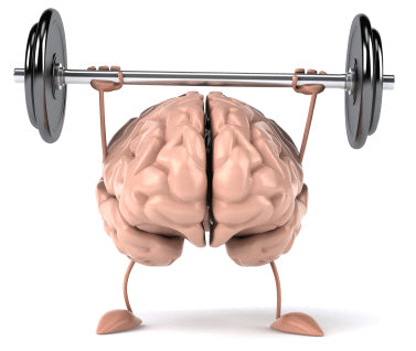 Daily Exercises for a Strong Brain and a Great Life