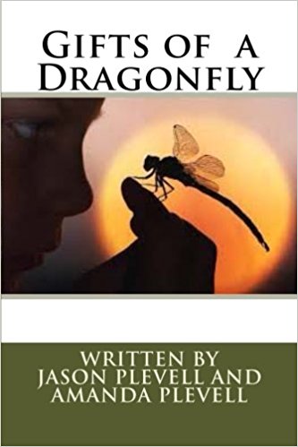 The Gifts of a Dragonfly